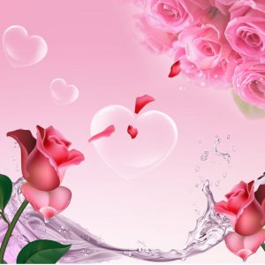 Tranh dán tường hoa hồng khơi nguồn tình yêu say đắm